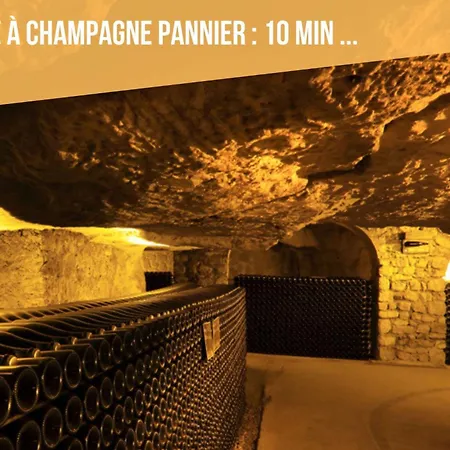 Apartment Le Lion - Plain-pied, Wifi, Yt Premium - 2rfhomes