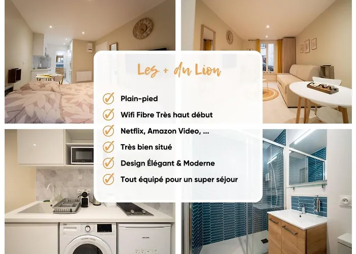 Apartman Le Lion - Plain-pied, Wifi, Yt Premium - 2rfhomes *